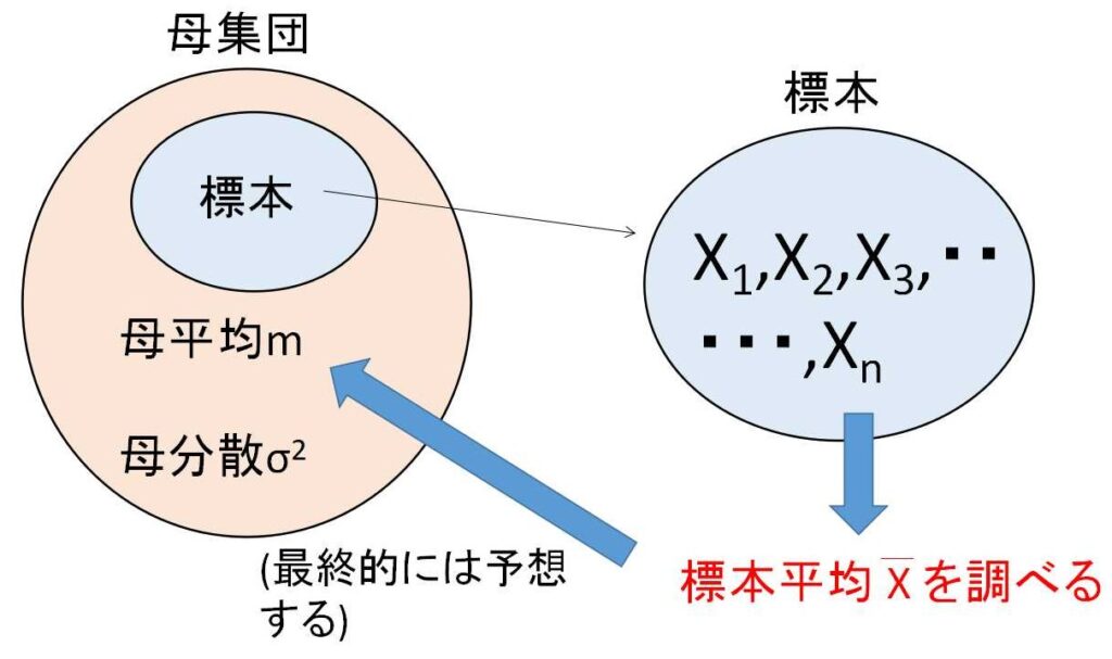 標本平均の期待値と分散・標準偏差 | 教えて数学理科